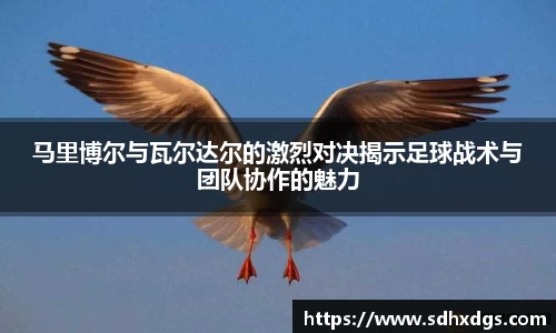 马里博尔与瓦尔达尔的激烈对决揭示足球战术与团队协作的魅力